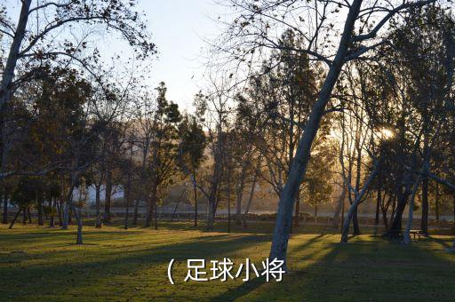 ( 足球小將