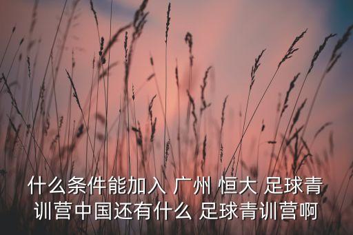 什么條件能加入 廣州 恒大 足球青訓(xùn)營(yíng)中國(guó)還有什么 足球青訓(xùn)營(yíng)啊