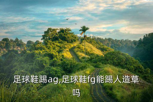 fg足球鞋踢ag,足球鞋fg能踢人造草嗎
