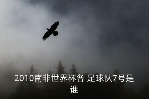 2010南非世界杯各 足球隊7號是誰