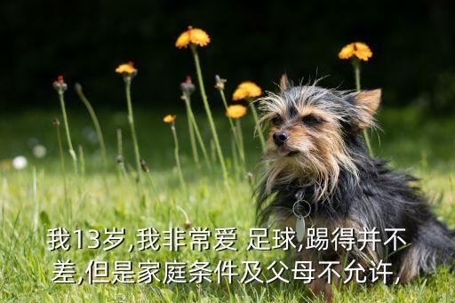 我13歲,我非常愛 足球,踢得并不差,但是家庭條件及父母不允許,