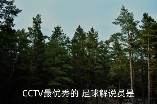 CCTV最優(yōu)秀的 足球解說員是