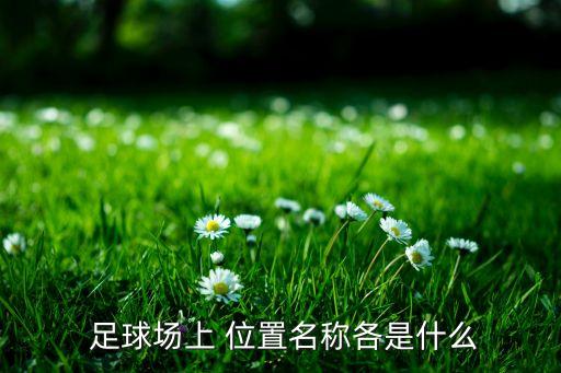  足球場(chǎng)上 位置名稱(chēng)各是什么