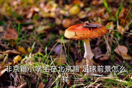 職業(yè)足球運(yùn)動(dòng)員招聘,中國(guó)職業(yè)足球運(yùn)動(dòng)員有多少人
