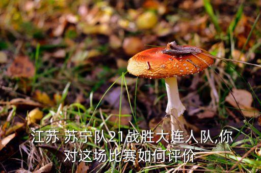 江蘇蘇寧足球積分