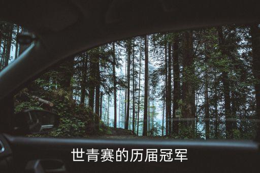世青賽的歷屆冠軍