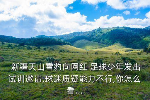  新疆天山雪豹向網(wǎng)紅 足球少年發(fā)出試訓(xùn)邀請(qǐng),球迷質(zhì)疑能力不行,你怎么看...
