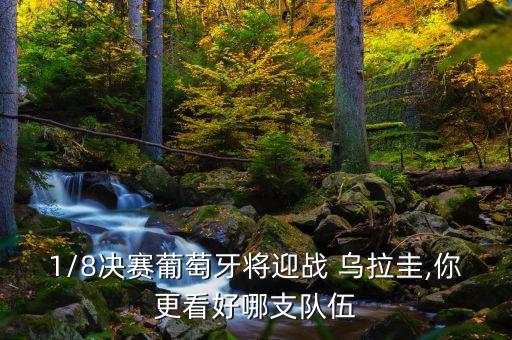 烏拉圭是進攻足球,葡萄牙和烏拉圭足球誰厲害
