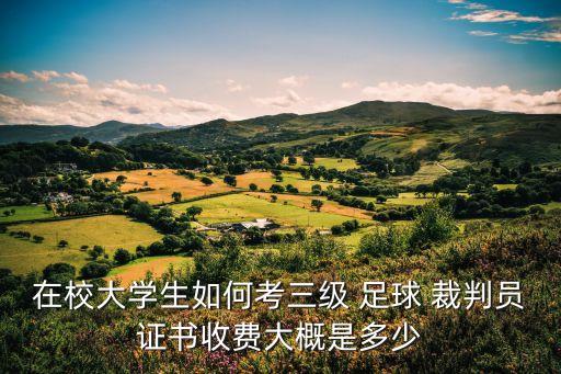 2019足球裁判員報(bào)考,足球裁判員報(bào)考要求