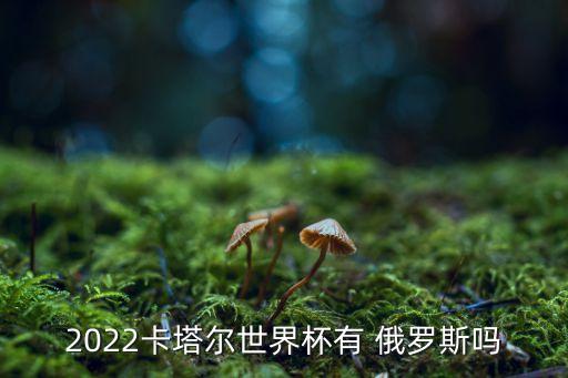 2022卡塔爾世界杯有 俄羅斯嗎