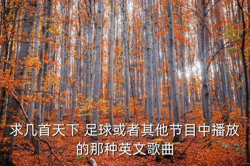 足球之夜電吉他