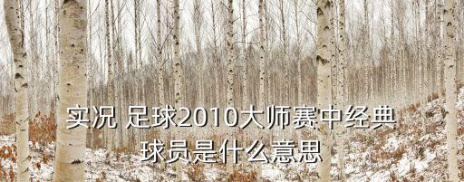  實況 足球2010大師賽中經(jīng)典 球員是什么意思