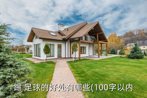 踢 足球的好處有哪些(100字以內