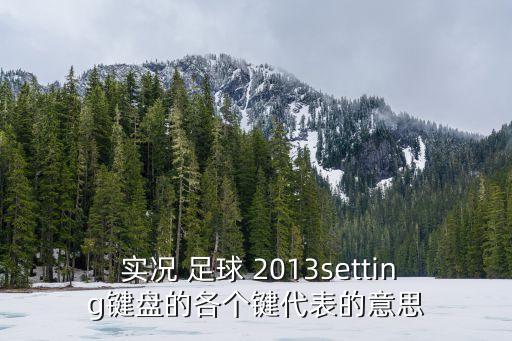  實(shí)況 足球 2013setting鍵盤的各個(gè)鍵代表的意思