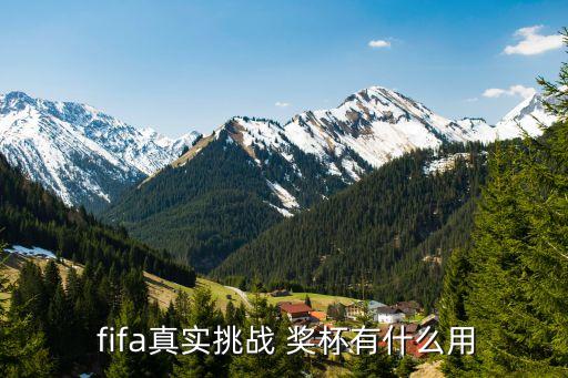 fifa足球世界獎(jiǎng)杯室