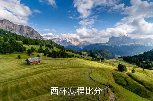西班牙足球成績(jī)