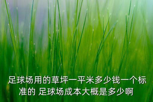 足球場(chǎng)揍人圖片,卡塔爾足球場(chǎng)圖片