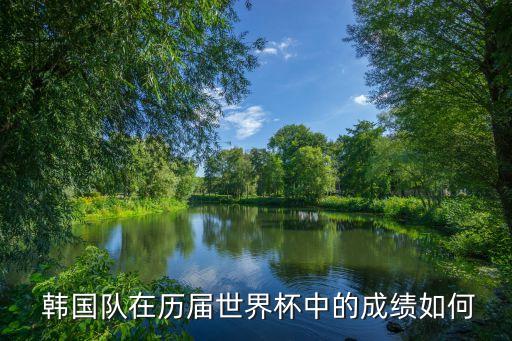  韓國隊在歷屆世界杯中的成績?nèi)绾? class=