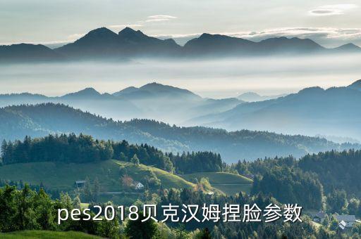 實(shí)況足球臉型訂制
