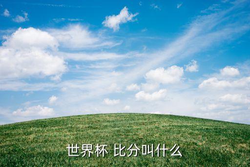 世界杯 比分叫什么