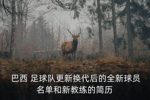 科林蒂安 足球隊 巴西,巴西科林蒂安隊員