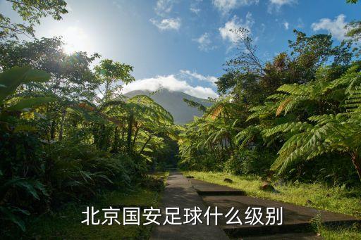  北京國安足球什么級別