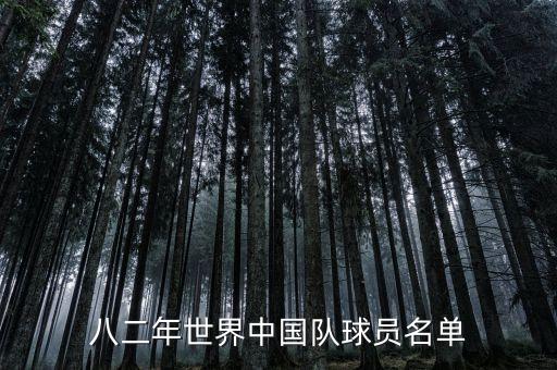 八二年世界中國(guó)隊(duì)球員名單