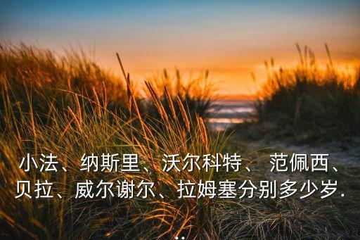 qq范佩西足球經(jīng)理2,范佩西足球經(jīng)理2禮包碼