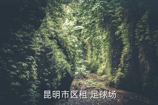 昆明免費(fèi)足球場,昆明對外開放的足球場