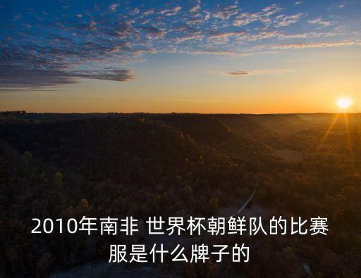 2010年南非 世界杯朝鮮隊的比賽服是什么牌子的