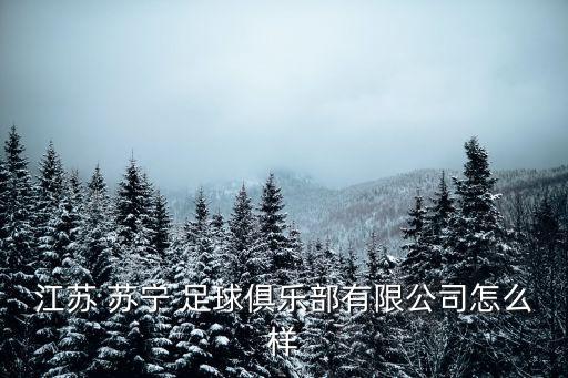 蘇寧足球教練年薪,2022足球教練年薪