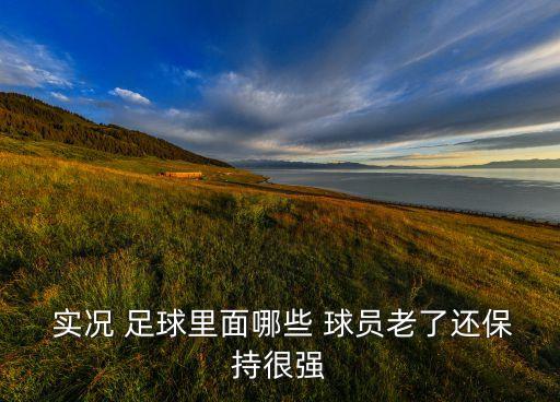  實況 足球里面哪些 球員老了還保持很強