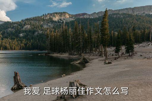 我愛 足球楊麗佳作文怎么寫