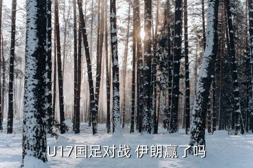 中國一伊朗足球比分,伊朗與伊拉克足球比分預(yù)測