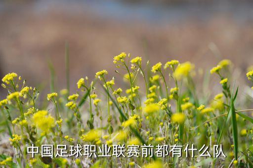 2017臨沂足球隊,臨沂足球隊最厲害的俱樂部