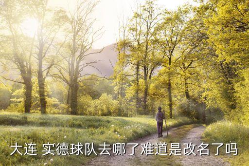 大連 實德球隊去哪了難道是改名了嗎
