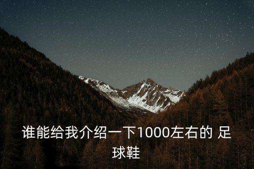 誰能給我介紹一下1000左右的 足球鞋