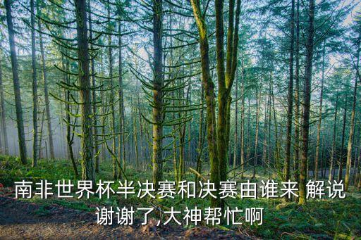南非世界杯半決賽和決賽由誰來 解說謝謝了,大神幫忙啊