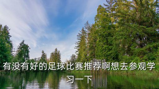 有沒(méi)有好的足球比賽推薦啊想去參觀學(xué)習(xí)一下