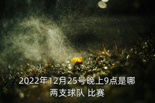 2022年12月25號晚上9點(diǎn)是哪兩支球隊 比賽