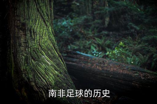 南非足球的歷史