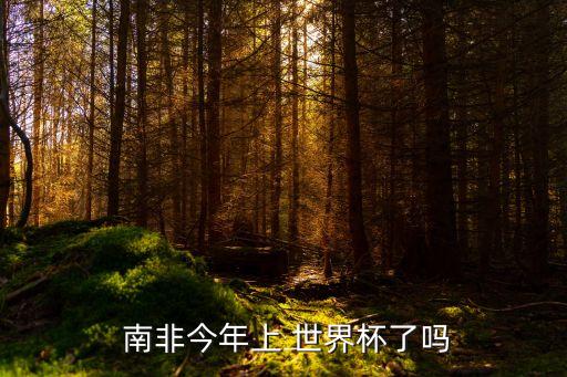  南非今年上 世界杯了嗎