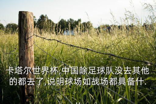 白巖松說中國足球隊,你想對中國足球隊說些什么