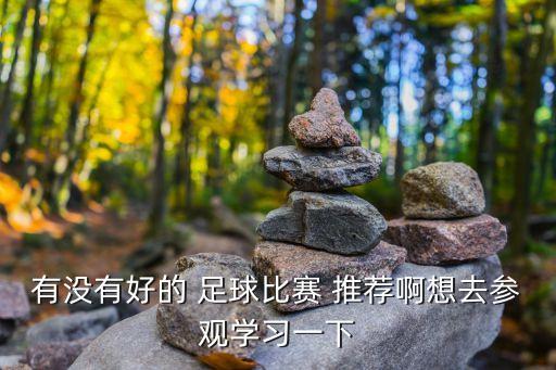 19063期足球?qū)＜彝扑]