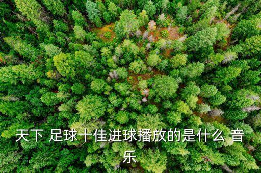 天下 足球十佳進(jìn)球播放的是什么 音樂(lè)