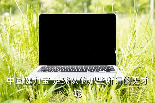 中國(guó)健力寶 足球隊(duì)的那些所謂的天才呢