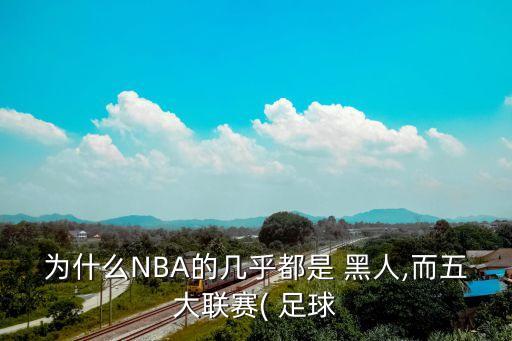為什么NBA的幾乎都是 黑人,而五大聯(lián)賽( 足球