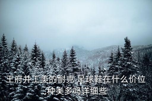 王府井工美的耐克 足球鞋在什么價(jià)位,種類多嗎詳細(xì)些
