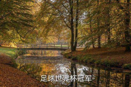  足球世界杯冠軍