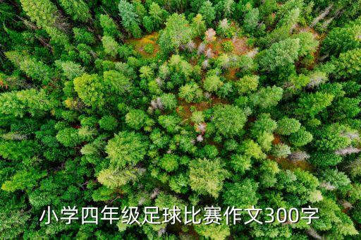 小學四年級足球比賽作文300字